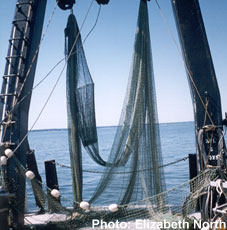 Mid-water trawl net lowered into water.